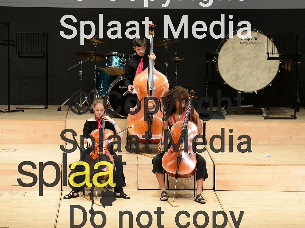Brighton Youth Orchestra String Ensemble > MFY National Festival 2019