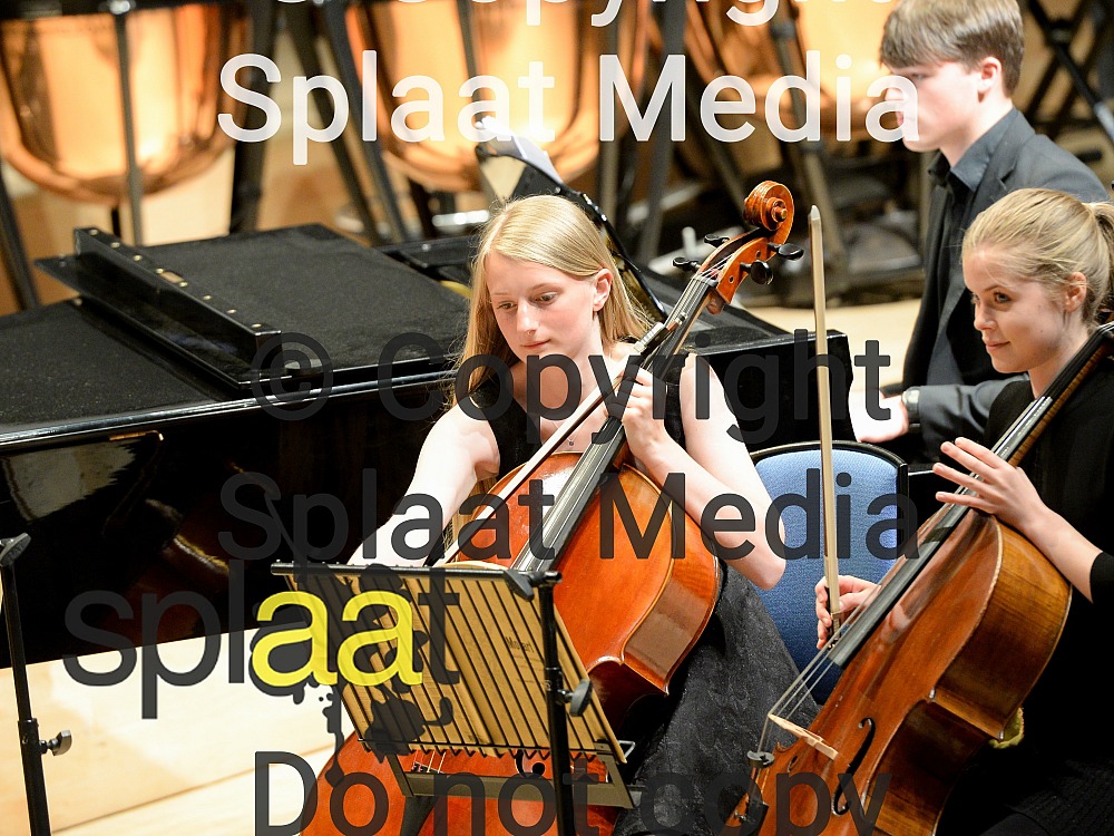 Truro School Chamber Orchestra > MFY National Festival 2019