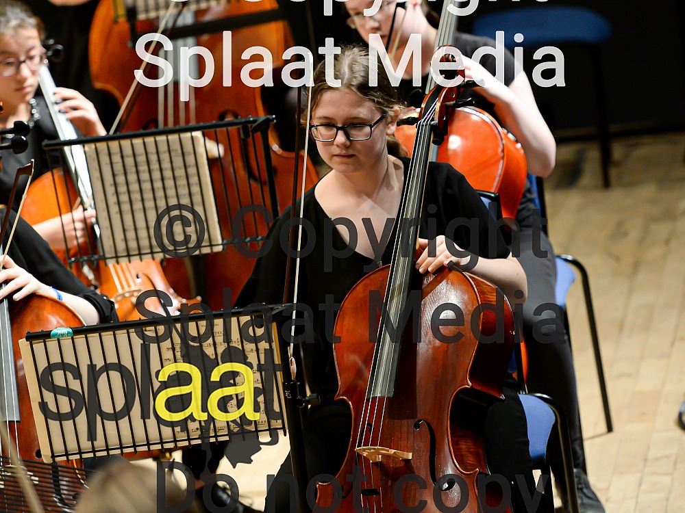 MK String Orchestra > MFY National Festival 2019