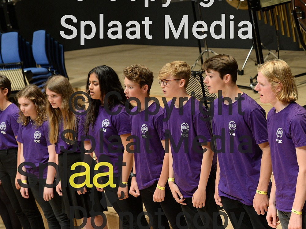 VOX > MFY National Festival 2019