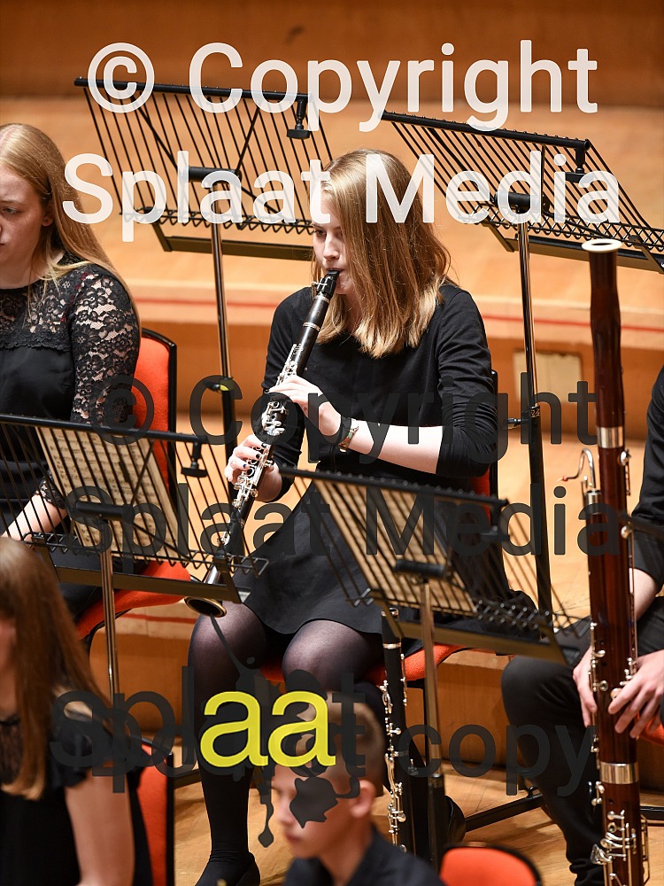 MK Youth Orchestra > MFY National Festival 2019