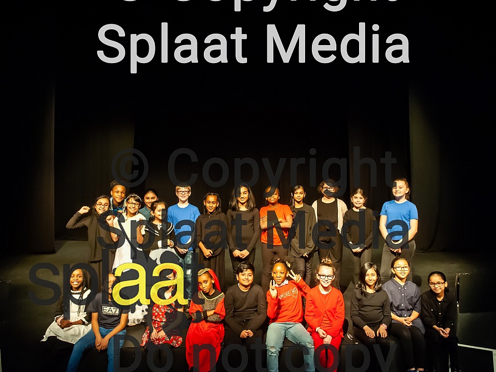 Manorfield Primary School > Shakespeare Schools Festival 2019