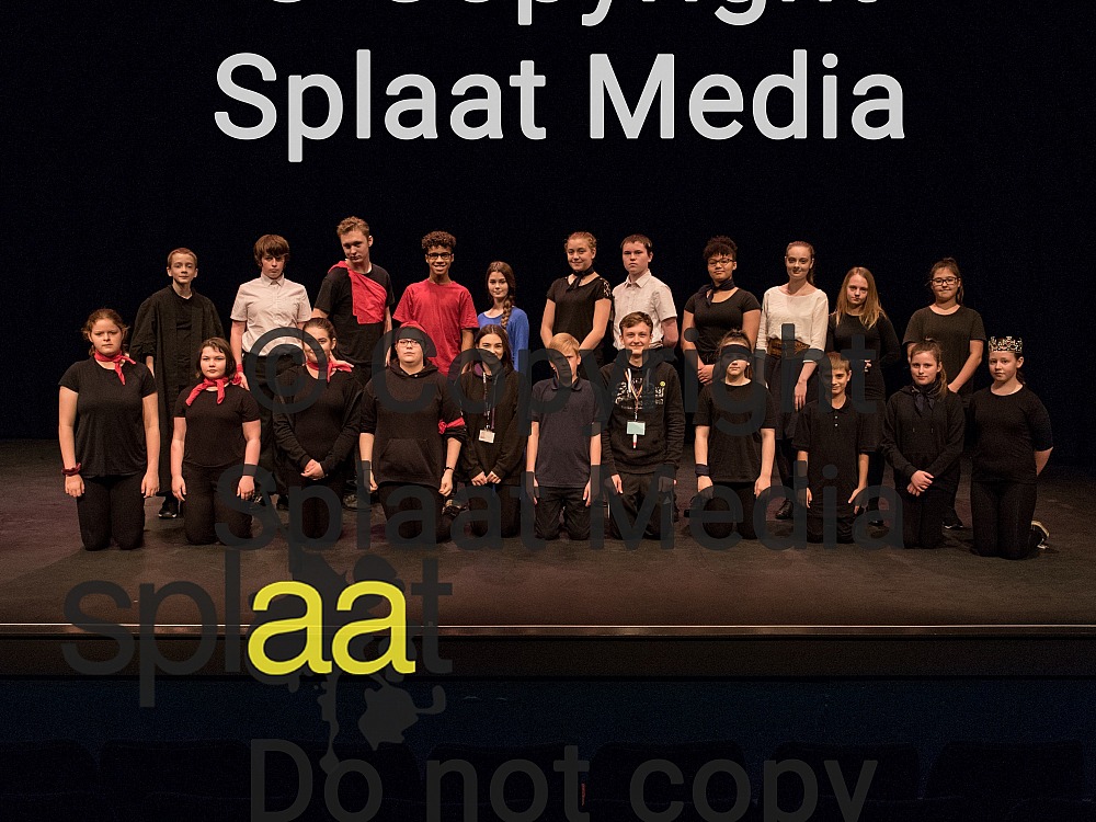 The Thetford Academy > Shakespeare Schools Festival 2019