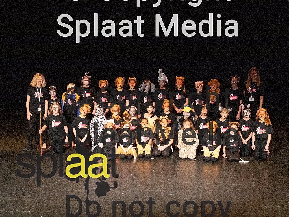 Bourne Westfield Primary School > Shakespeare Schools Festival 2019