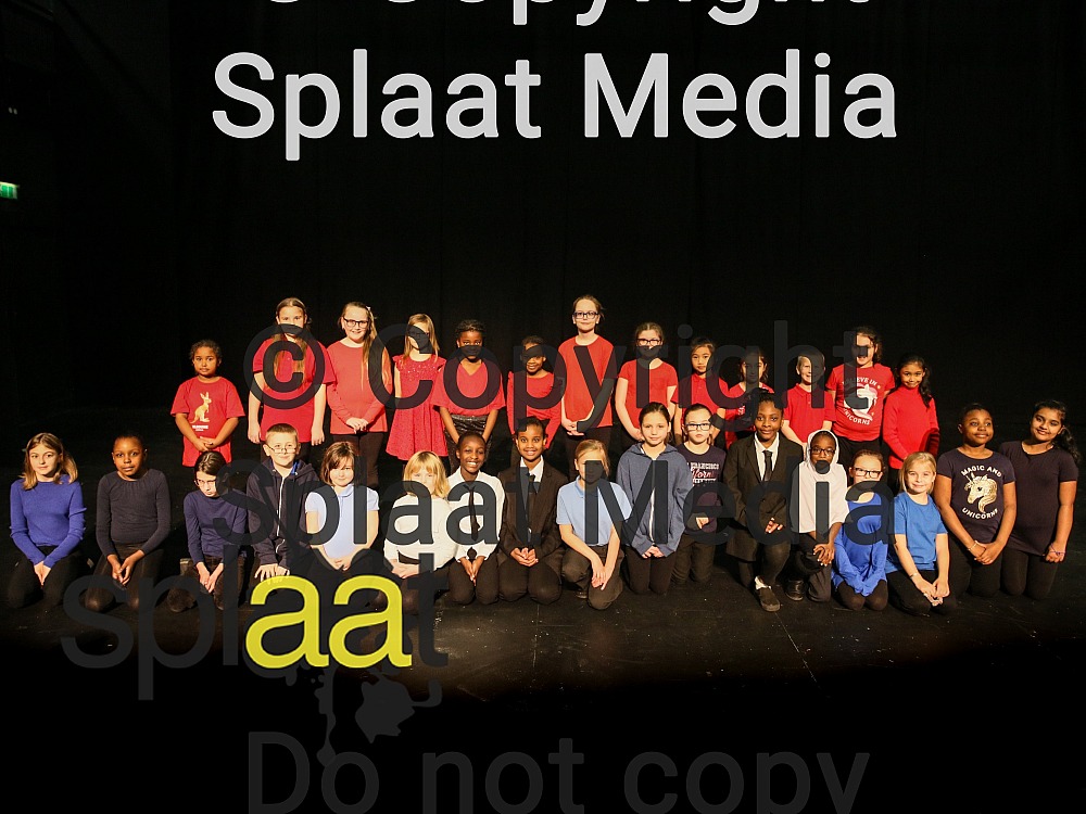 Woodstock Primary Academy > Shakespeare Schools Festival 2019