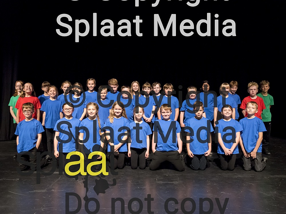 Binstead Primary School > Shakespeare Schools Festival 2019