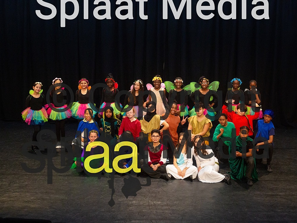 Wyvil Primary School > Shakespeare Schools Festival November 2023
