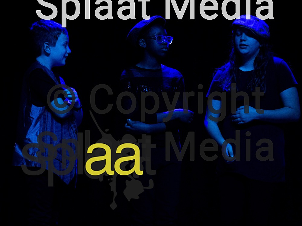 Furley Park Primary Academy > Shakespeare Schools Festival November 2023