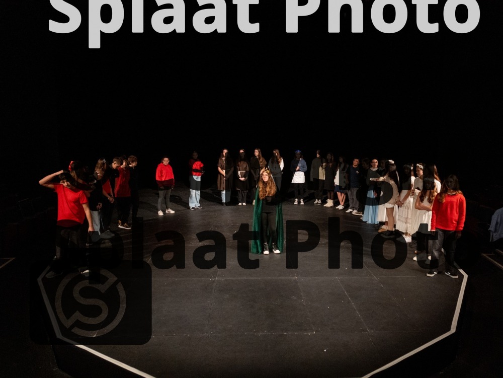 IES Marques de Santillana > Shakespeare Schools Festival November 2025