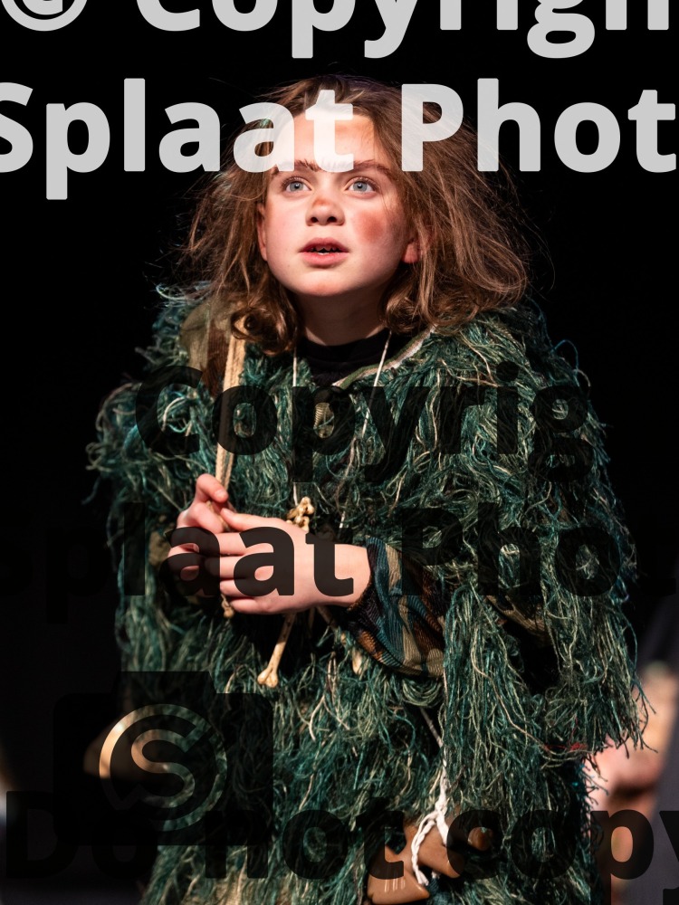 Gislingham Church of England Primary School > Shakespeare Schools Festival November 2025