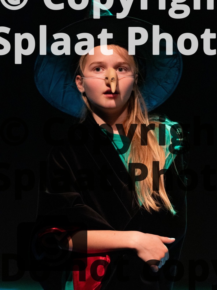 Gusford Community Primary School > Shakespeare Schools Festival November 2025