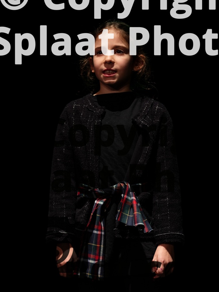 Telferscot Primary School > Shakespeare Schools Festival Spring 2026