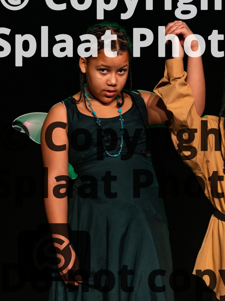 Wyvil Primary School > Shakespeare Schools Festival Spring 2026