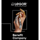 LEGOR GROUP S.P.A.