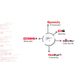 WUERTH PHOENIX SRL WUERTH PHOENIX GMBH