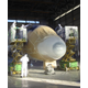 I.A.P. INDUSTRIAL & AERONAUTICAL PAINTING S.R.L.