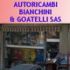 BIANCHINI E GOATELLI SNC DI GOATELLI SIMONA