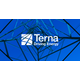 TERNA - RETE ELETTRICA NAZIONALE SOCIETA PER AZIONI