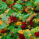 WOODLAND TRUST