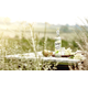 BELVOIR FARM DRINKS HOLDINGS LIMITED