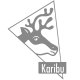 KARIBU HOLZTECHNIK GMBH