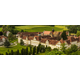 SCHULE SCHLOSS SALEM GEMEINNÜTZIGE BETRIEBSGESELLSCHAFT MBH SCHULE SCHLOSS SALEM GGMBH