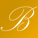 BLAI LIMOUSINES SL