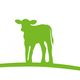 CAMPINGANLAGE GUT KALBERSCHNACKE GMBH