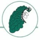 ALPHAGRÜN GMBH