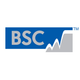 BSC FILTERS LIMITED