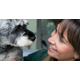 GODDARD VETERINARY GROUP LIMITED