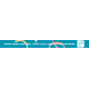 BIG CREATIVE TRAINING LTD