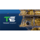 TRIDENT ENERGY MANAGEMENT LIMITED