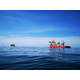 SOLSTAD MANAGEMENT AS