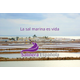 SALINERA ESPAÑOLA SA