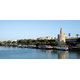 CRUCEROS TORRE DEL ORO SL.
