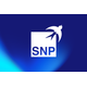 SNP SCHNEIDER-NEUREITHER & PARTNER SE