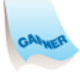 GAFNER SYSTEMSERVICE GMBH