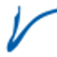 VEROPIZ S.R.L.