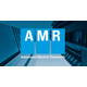 AMR ADVANCED MARKET RESEARCH GMBH