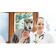 TIERARZT PLUS SINSHEIM GMBH