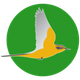 A. N. S. COOP