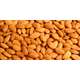 ALMENDRAS DEL SOL SA.