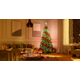 Twinkly