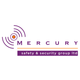 MERCURY SAFETY & SECURITY GROUP LIMITED