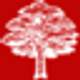 TREEWORK (TUNBRIDGE WELLS) LIMITED