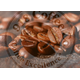 918 COFFEE CO LIMITED