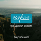POLYVINE LIMITED