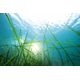 PLANBLUE GMBH