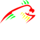 PAPAGAYO BIKE SOCIEDAD LIMITADA.